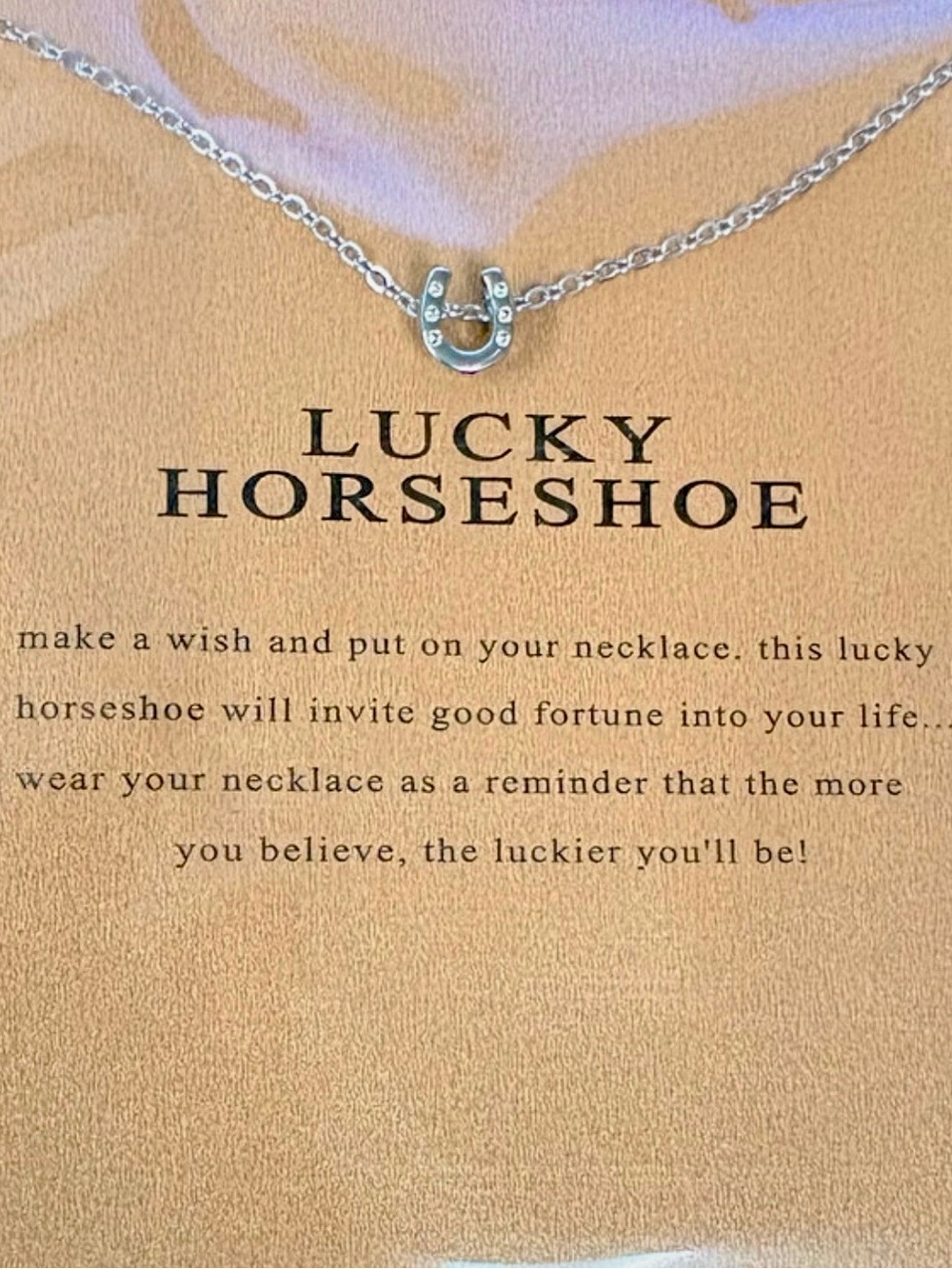 Silver Horseshoe Necklace with Inspirational Card